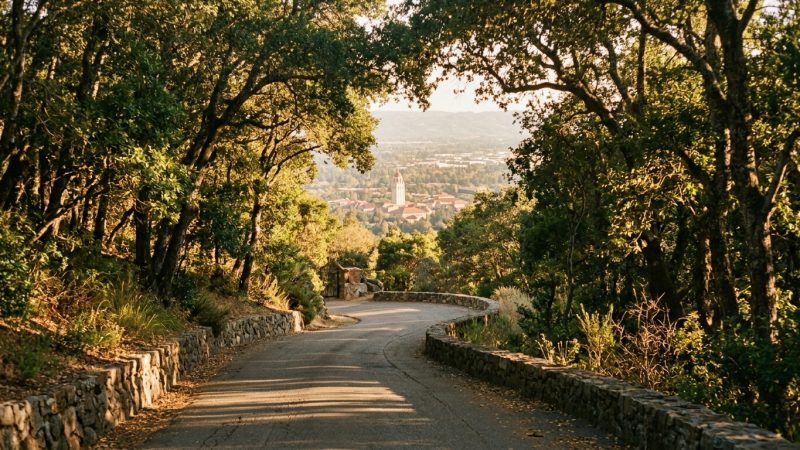 Page Mill neighborhood character — Silicon Valley real estate